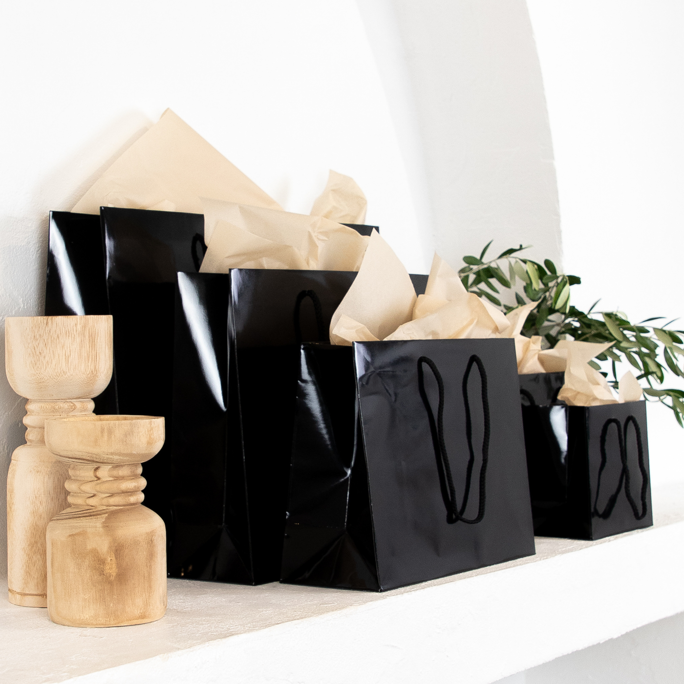 Gloss Laminated Paper Carry Bags