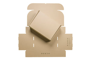 Large Online Mailer Carton