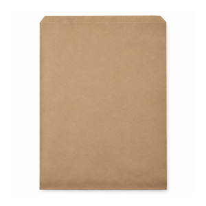 Large Flat Record Satchel 250/ctn (480hx360w)