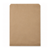 Large Flat Record Satchel 250/ctn (480hx360w)
