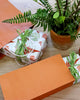 Burnt Orange Medium Coloured Gift Paper Bag 500ctn