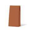 Burnt Orange Medium Coloured Gift Paper Bag 500ctn