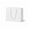 Laminated Matte Emerald White Paper Bag - 200/ctn