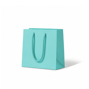 Laminated Matte Petite Aqua Paper Bag - 200/ctn