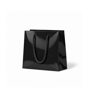 Laminated Gloss Petite Black Paper Bag - 200/ctn