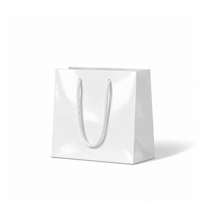 Laminated Gloss Petite White Paper Bag - 200/ctn