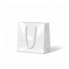 Laminated Gloss Petite White Paper Bag - 200/ctn