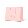 Laminated Matte Ruby Pink Paper Bag - 100/ctn