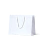 Laminated Matte Ruby White Paper Bag - 100/ctn