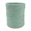 Poly Raffia 5mm X 200mtrs River Gum