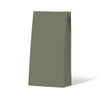 Earth Green Medium Coloured Gift Paper Bag 500/ctn