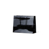 Laminated Gloss Ruby Black Paper Bag - 100/ctn