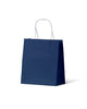 Earth Collection Navy - Small - 200/ctn