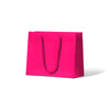 Laminated Matte Emerald Hot Pink Paper Bag 200/ctn