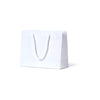 Laminated Matte Emerald White Paper Bag - 200/ctn