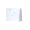 Laminated Matte Madison White Paper Bag - 50/ctn