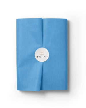 Silk 17gsm Pacific Blue