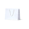 Laminated Matte Ruby White Paper Bag - 100/ctn