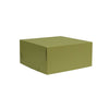 2 Piece Gift Box Aloe Green 305x305x127mm 50/ctn