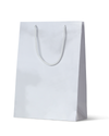 Laminated Gloss Michelle White Paper Bag - 100/ctn