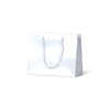 Laminated Gloss Emerald White Paper Bag - 200/ctn